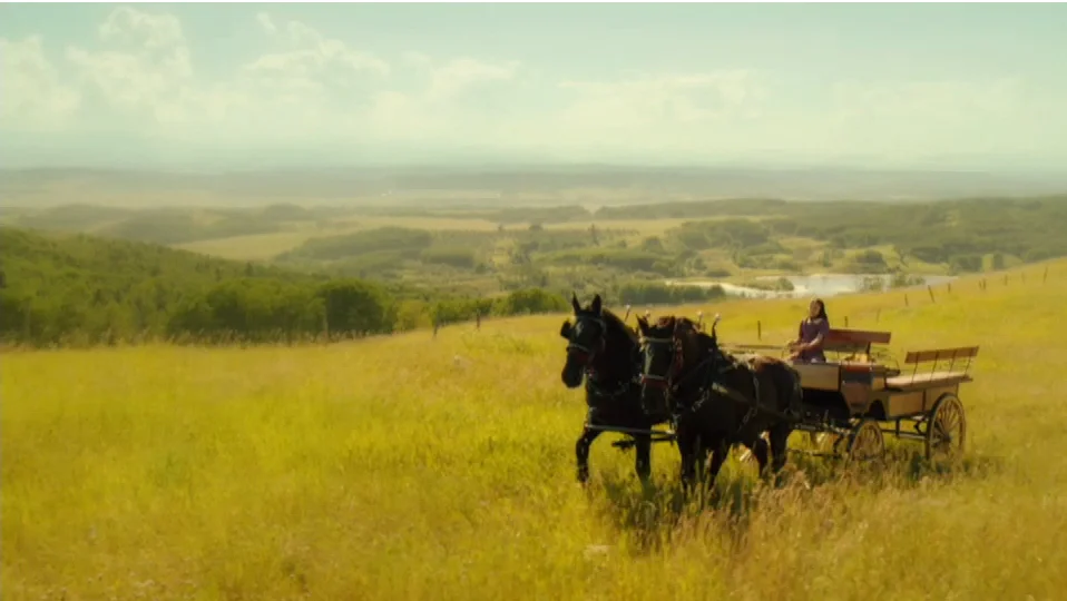 Be a Farmer for a Day