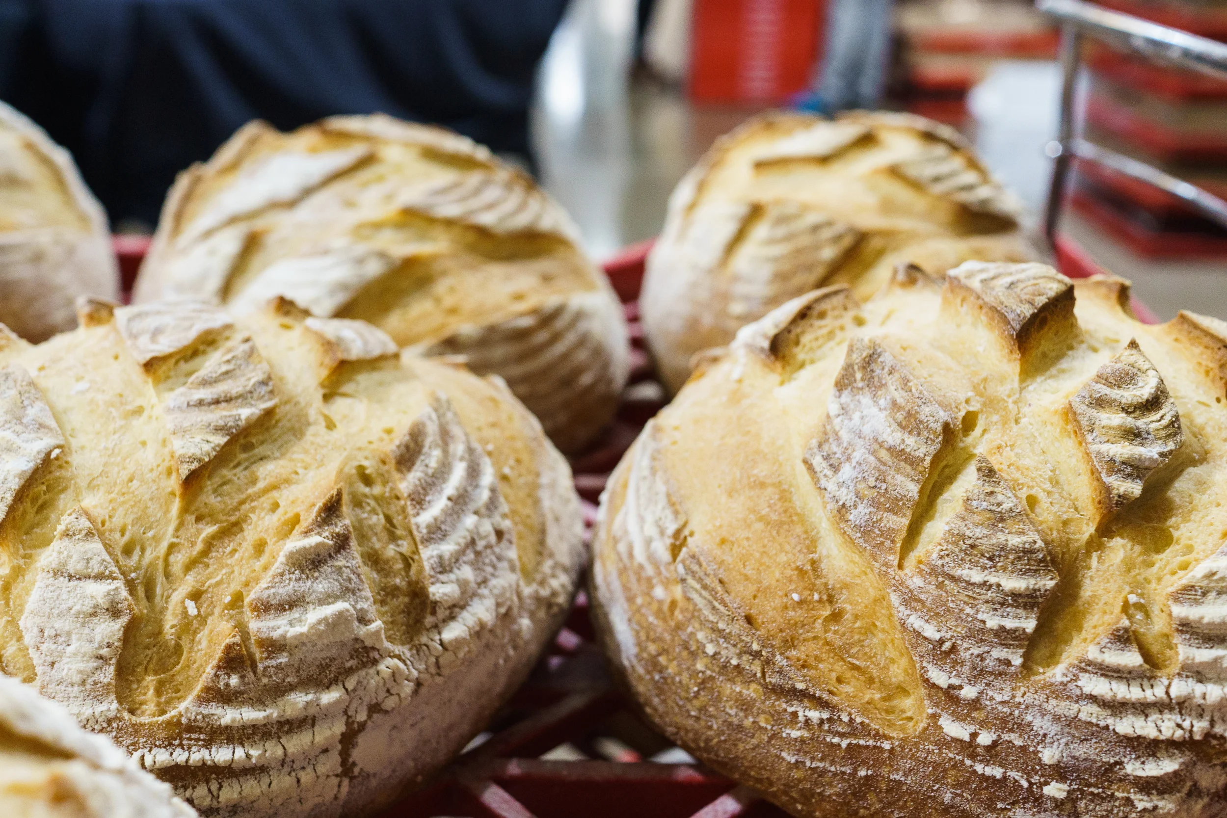 Oldest and Largest Italian Culinary Destination Opens