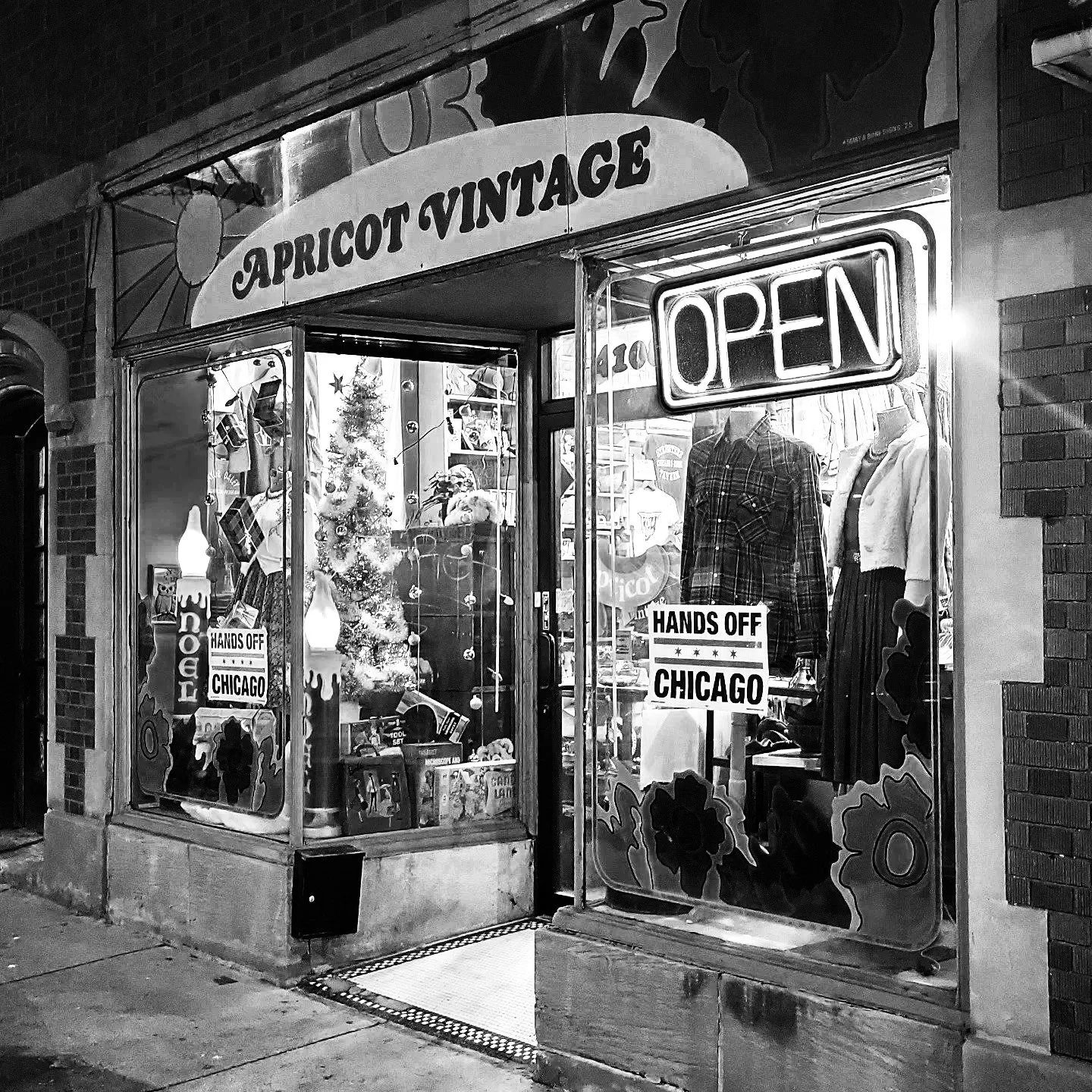 Solo at Apricot Vintage in Chicago, IL 