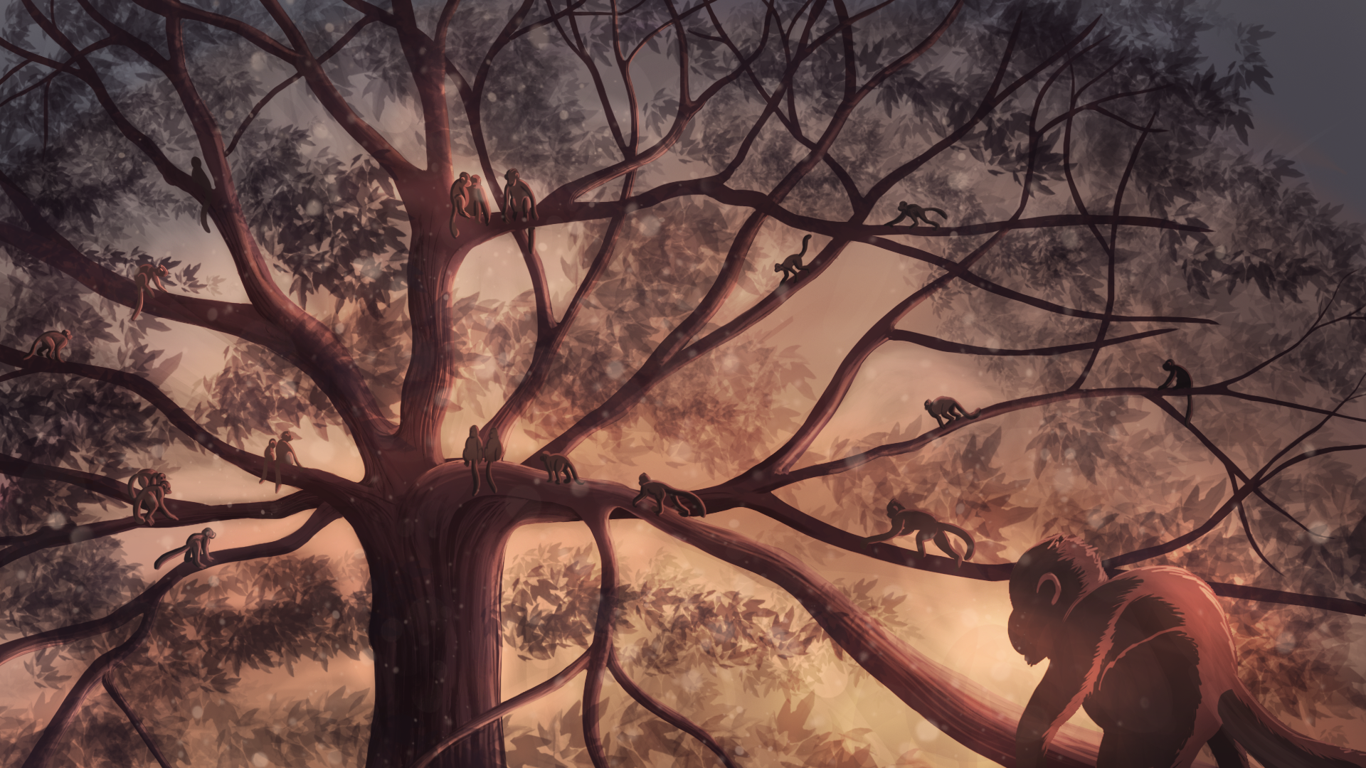 The monkey Tree Concept - Kannon Films