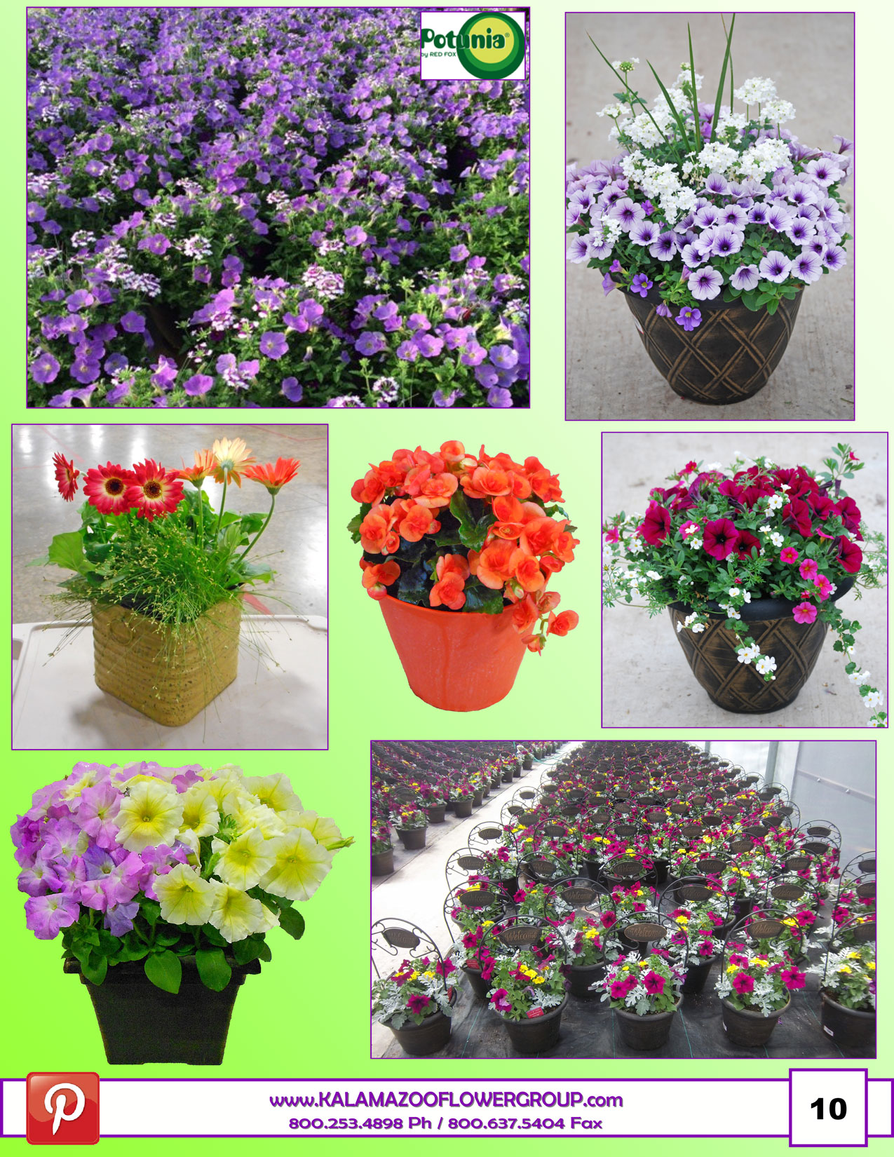 Spring-2017_pg11.jpg