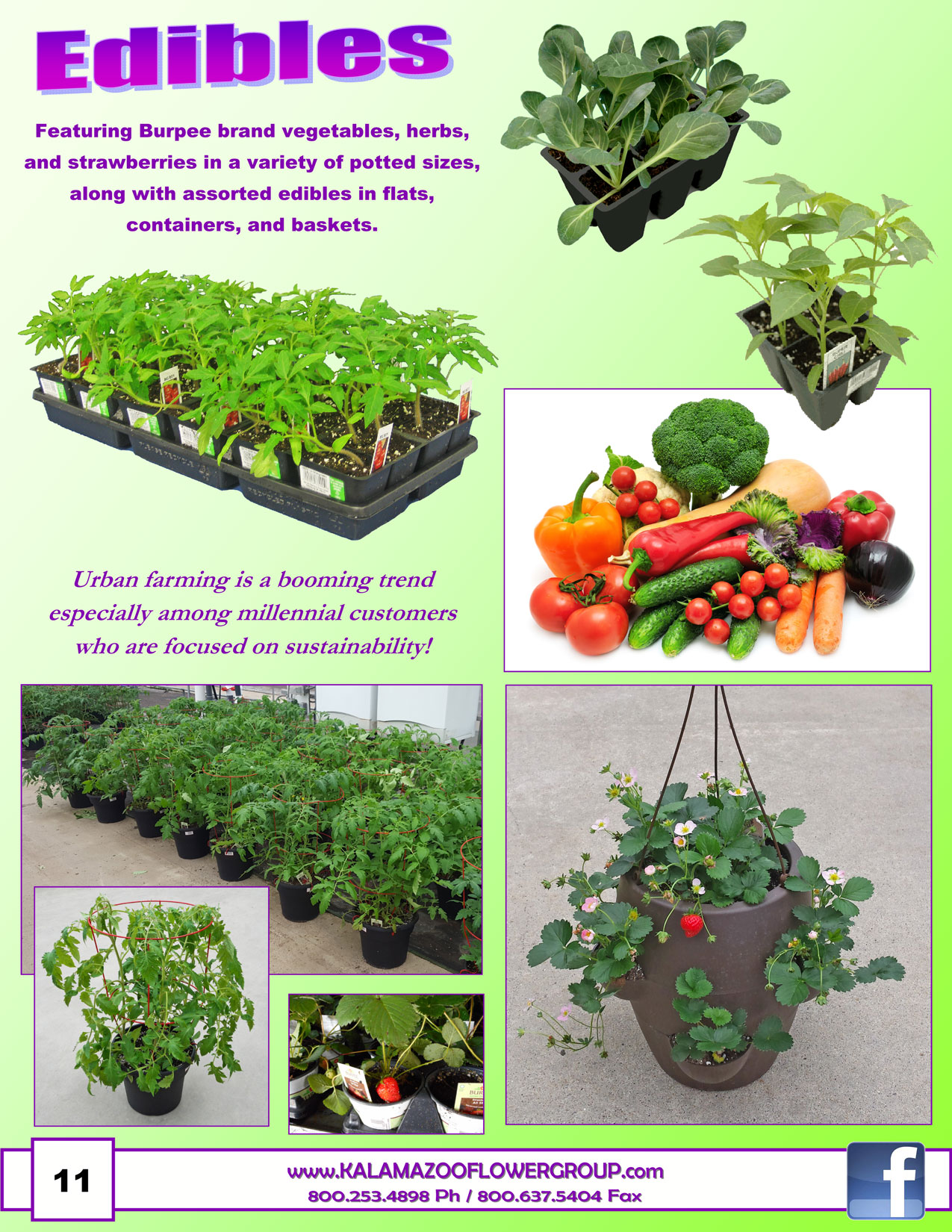 Spring-2017_pg12.jpg