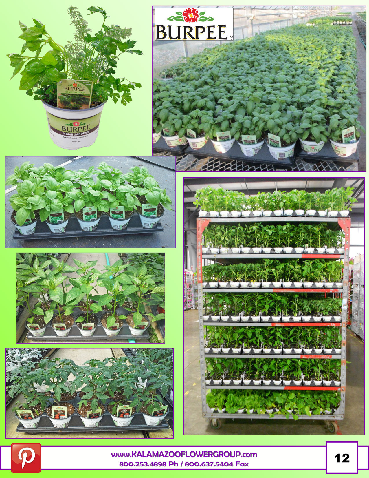 Spring-2017_pg13.jpg