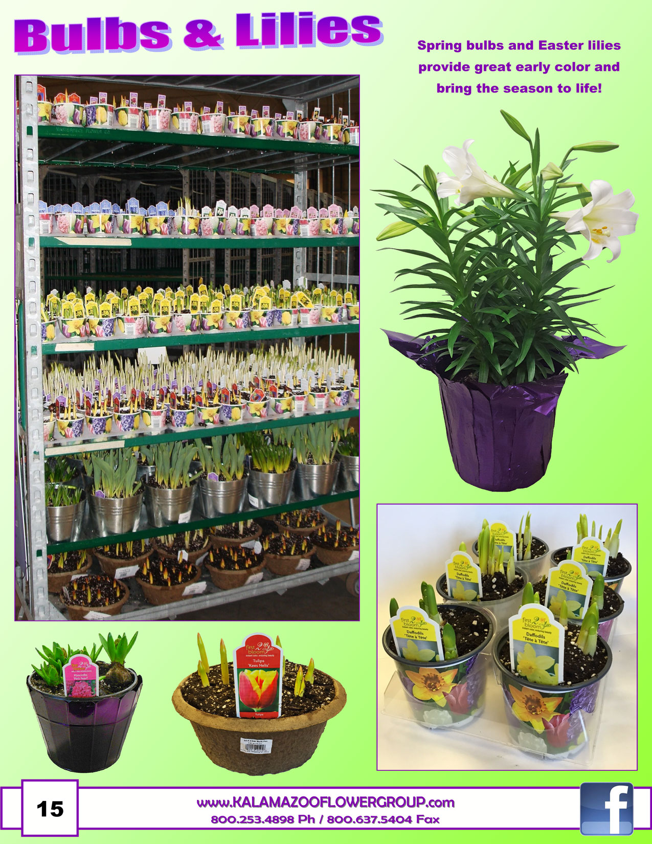 Spring-2017_pg16.jpg