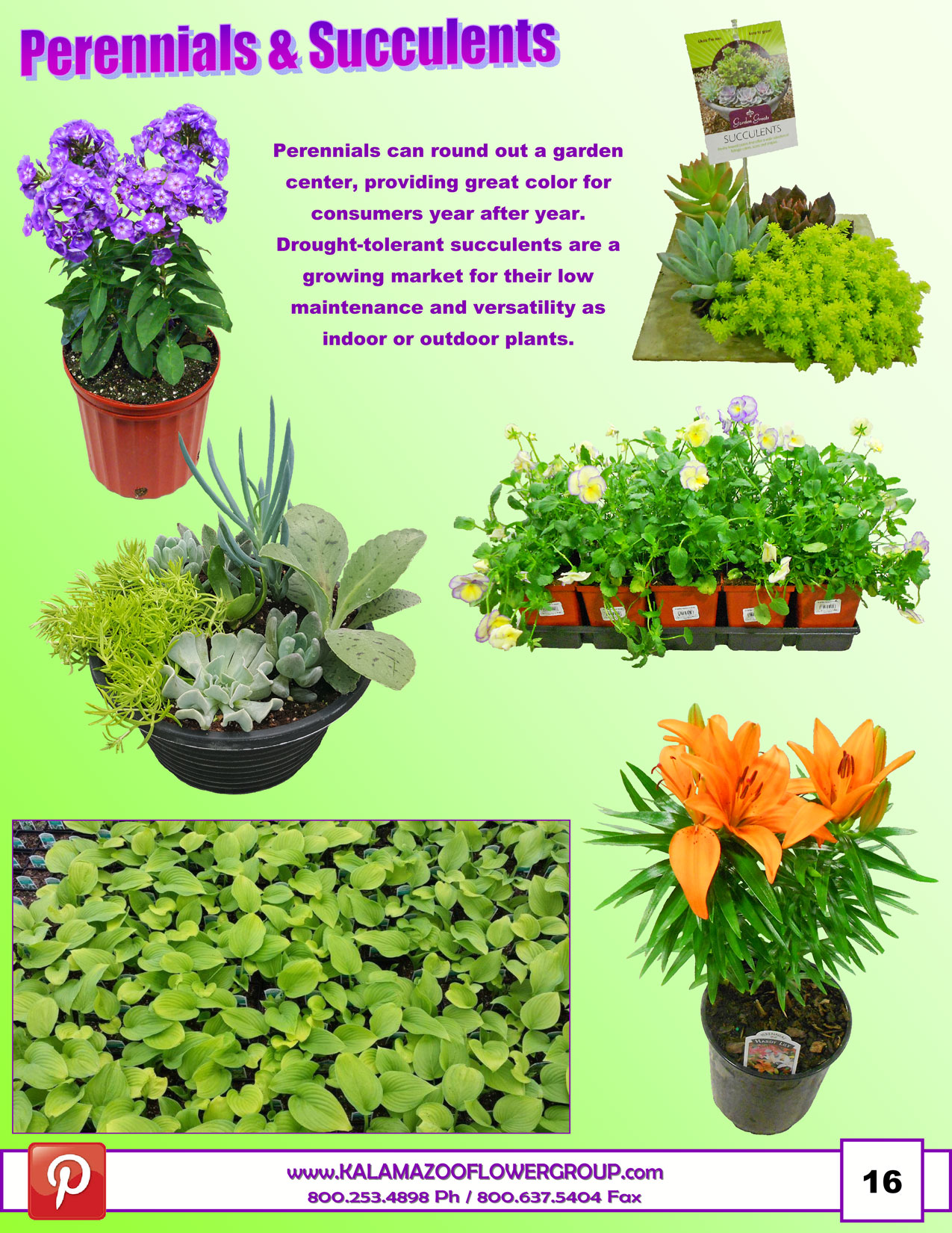 Spring-2017_pg17.jpg