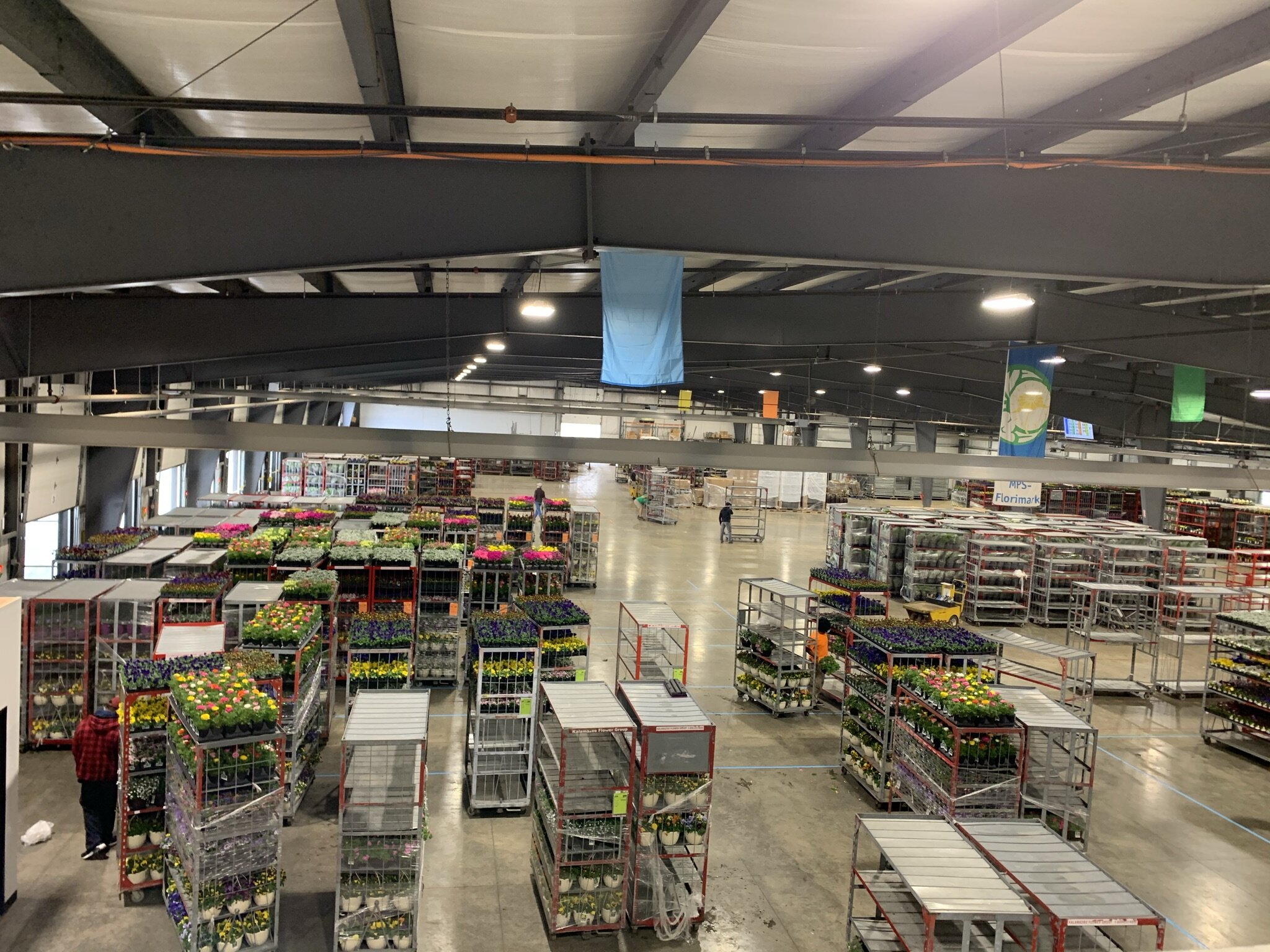 Kalamazoo Flower Group