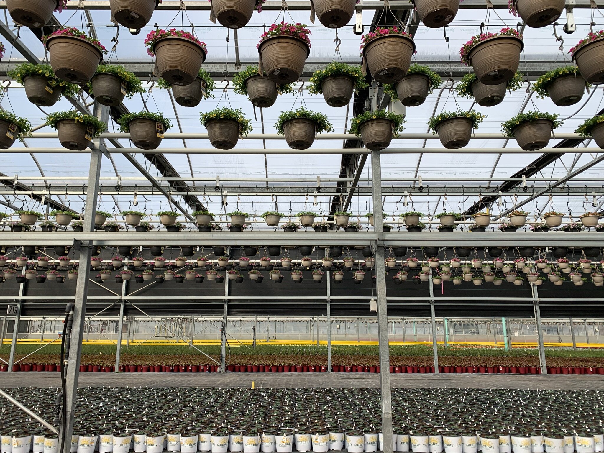 Kalamazoo Flower Group