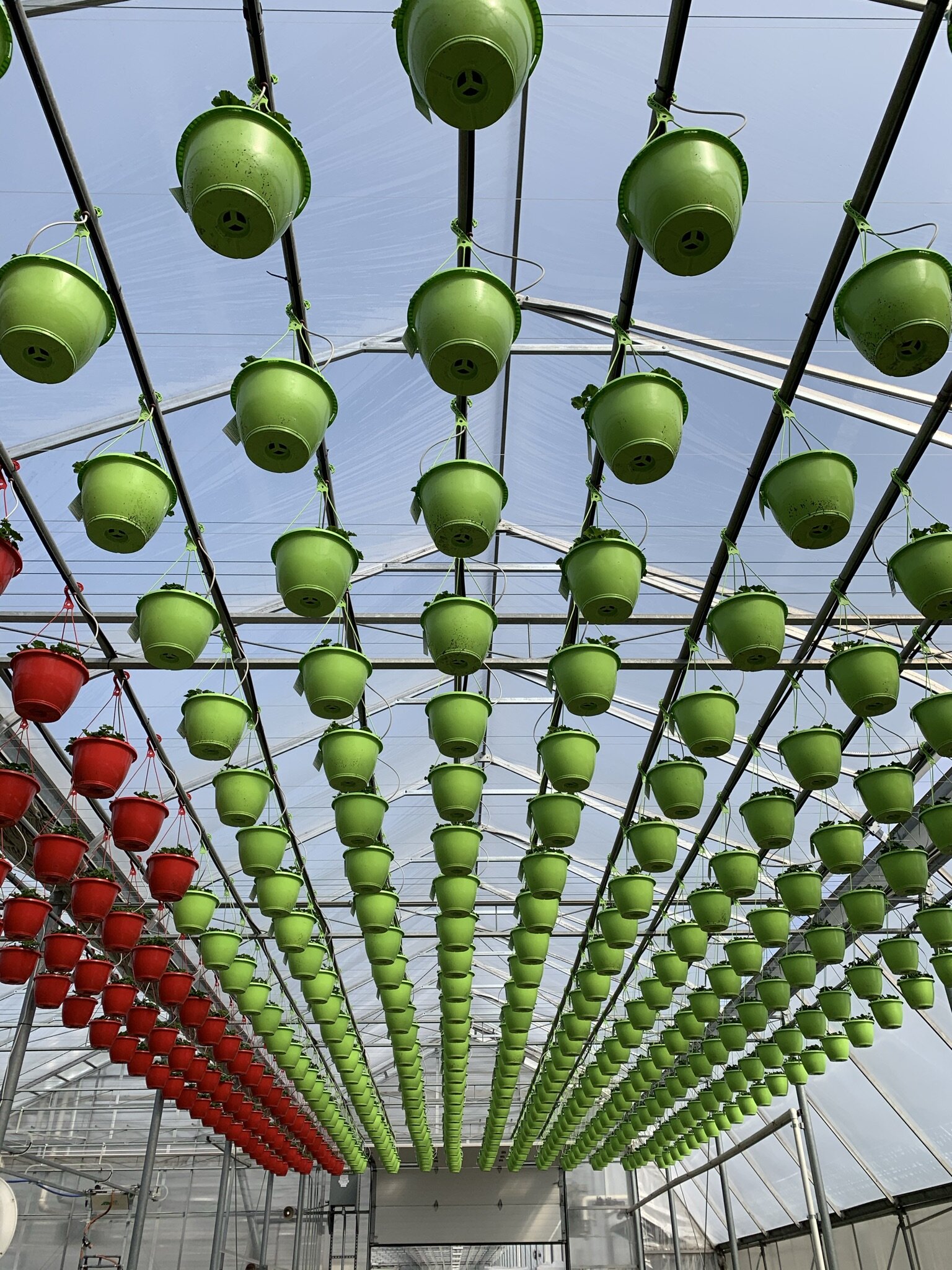 Kalamazoo Flower Group