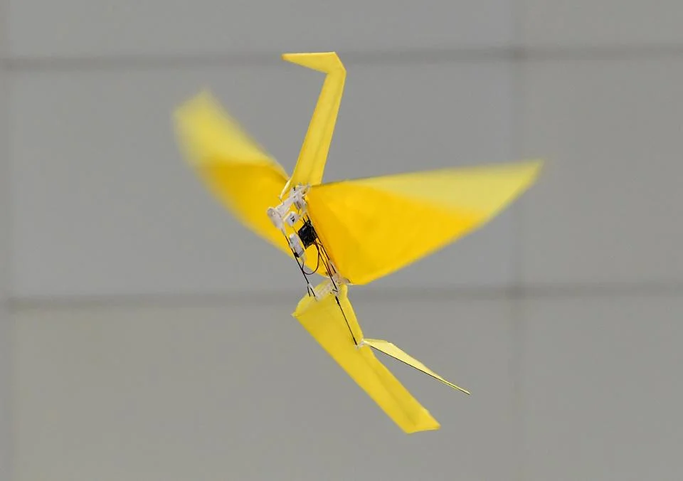 960x0.jpg