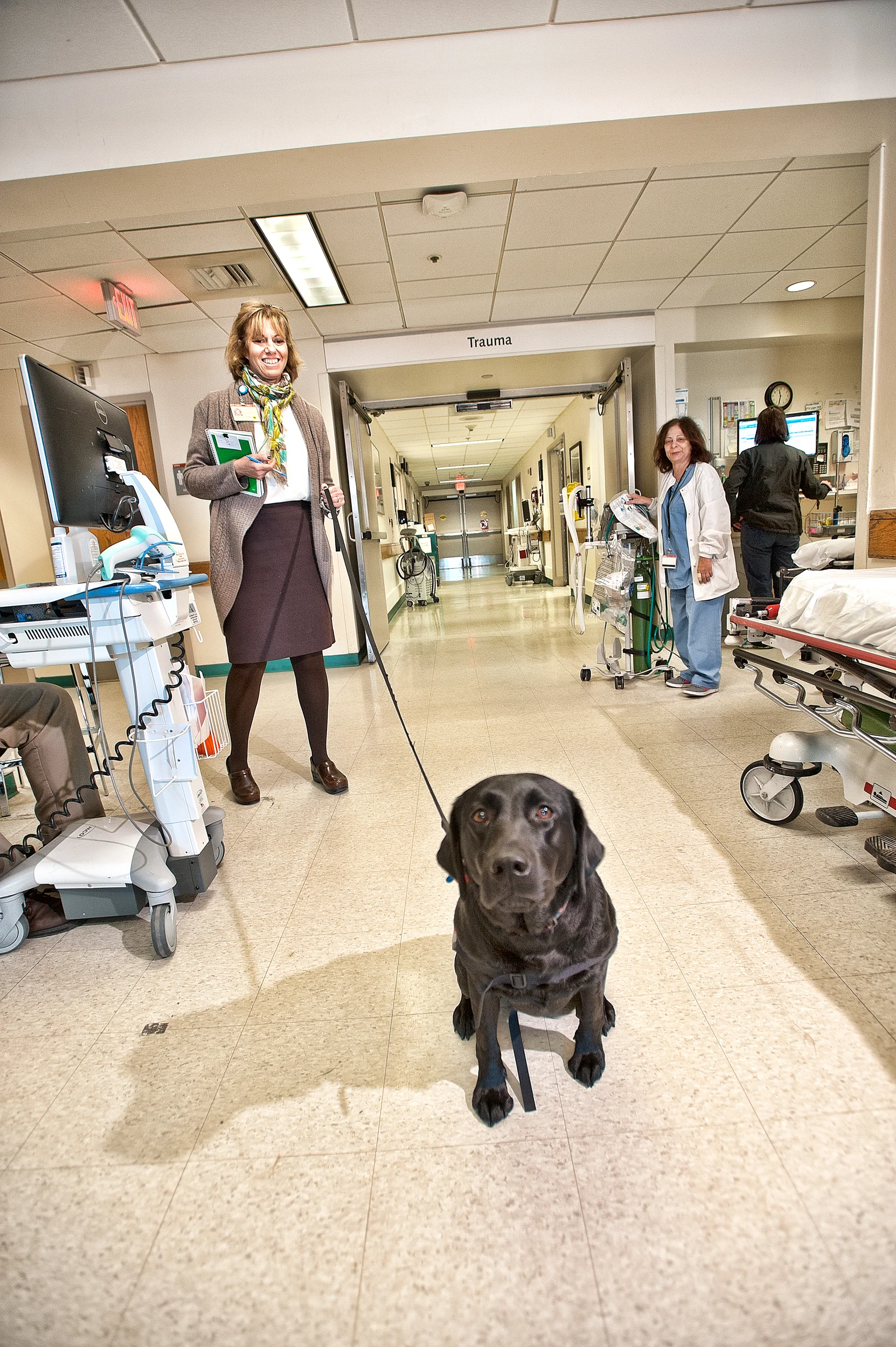 Hosptal care doggie