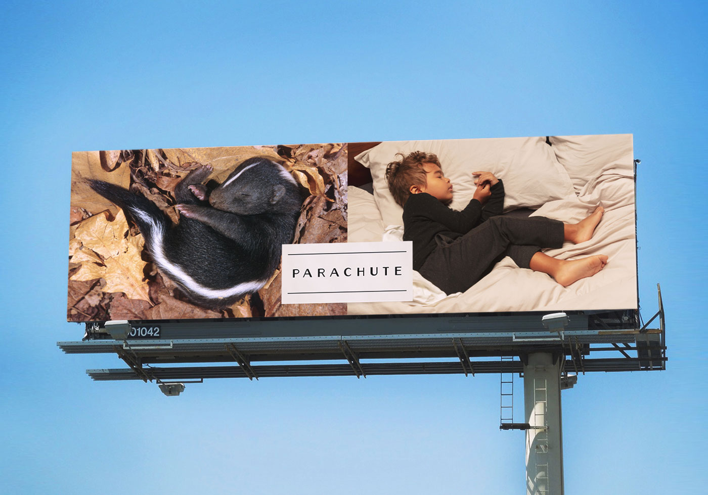 parachute-happy-hibernating-full.jpg