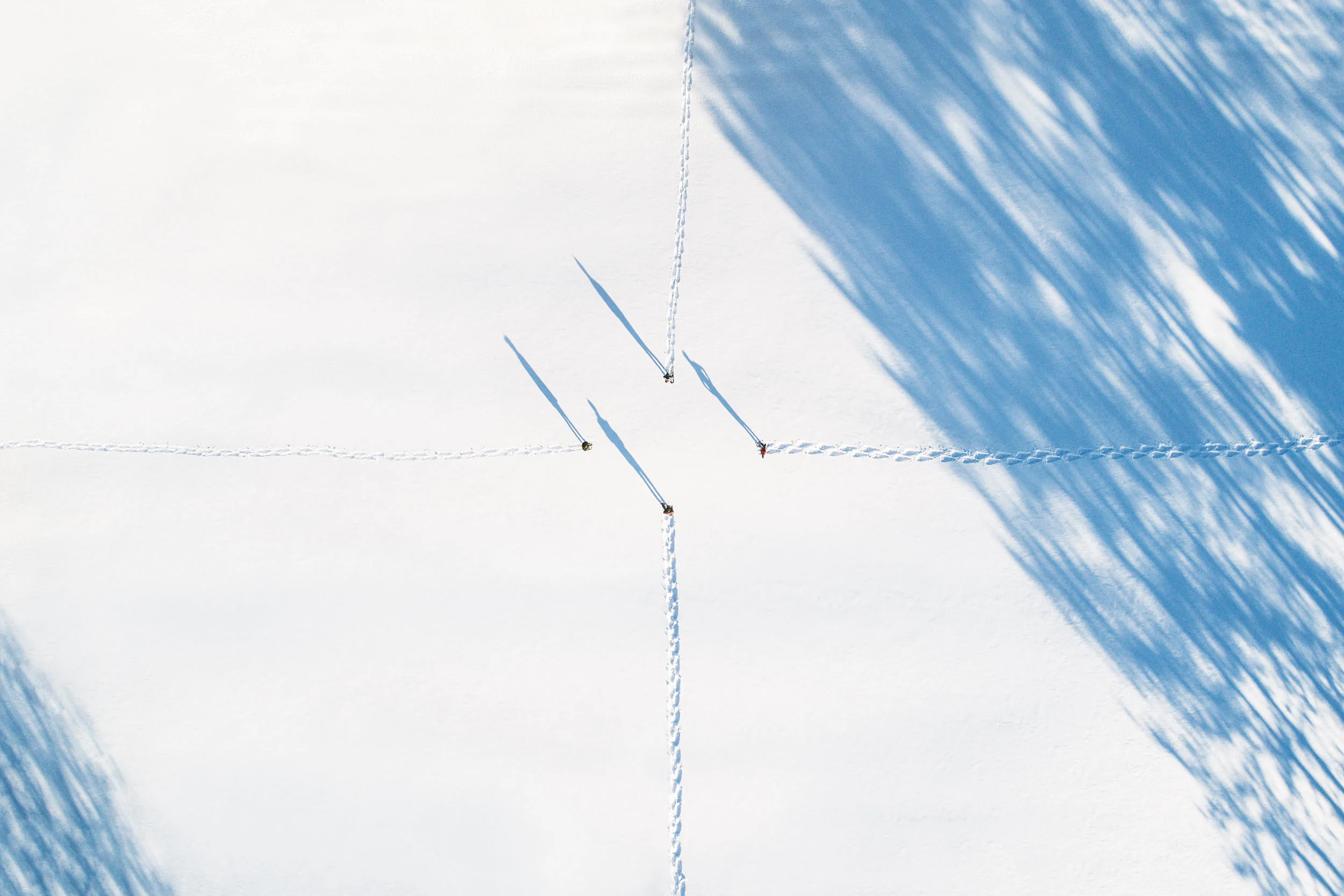 2017-02.17-Vermont-Che-Em-195-Full-2500px.jpg