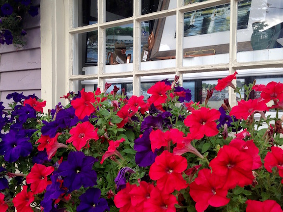 I shy away from petunias in general, but they work so well in this Kennebunkport window box
