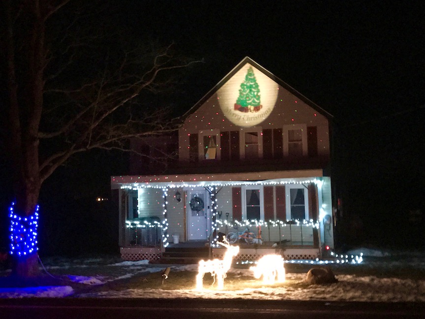 Reindeer, a blue tree and projections on Route 9G