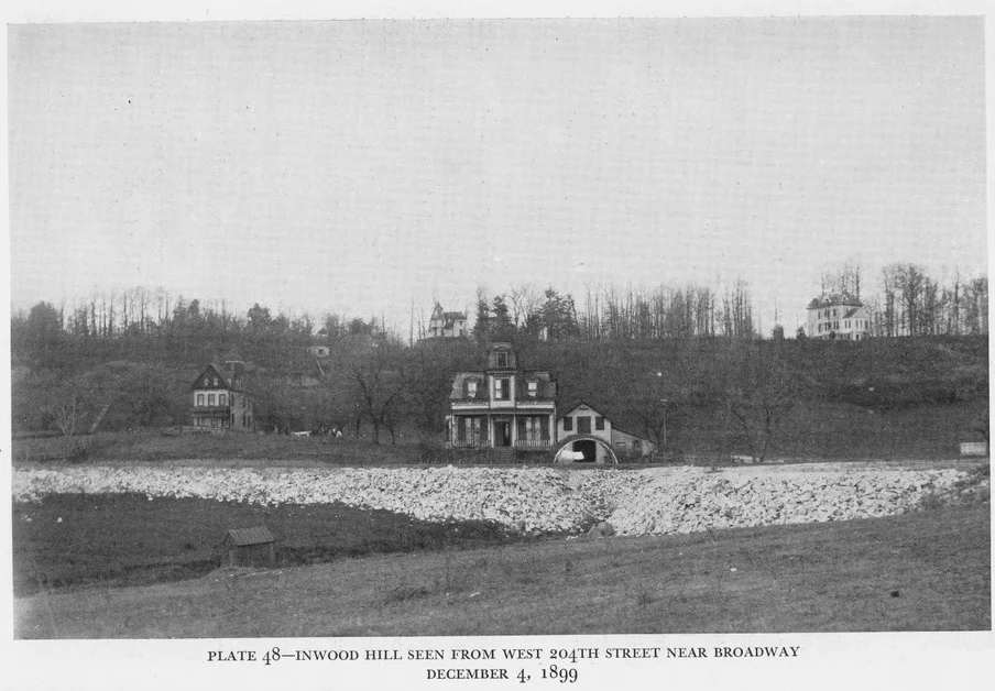 Plate-48.jpg