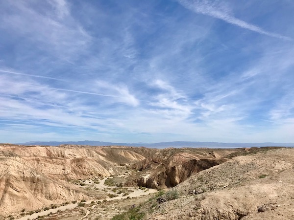 desert landscape.jpeg