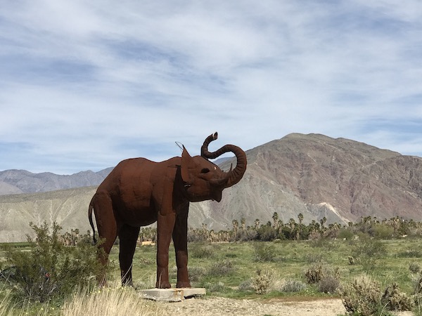 Elephant desert.jpeg