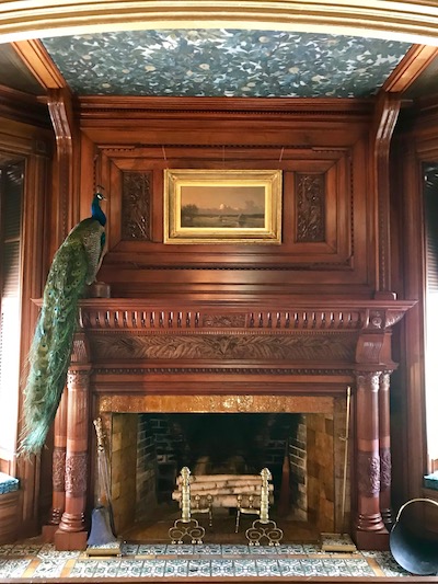 Peacock.jpeg