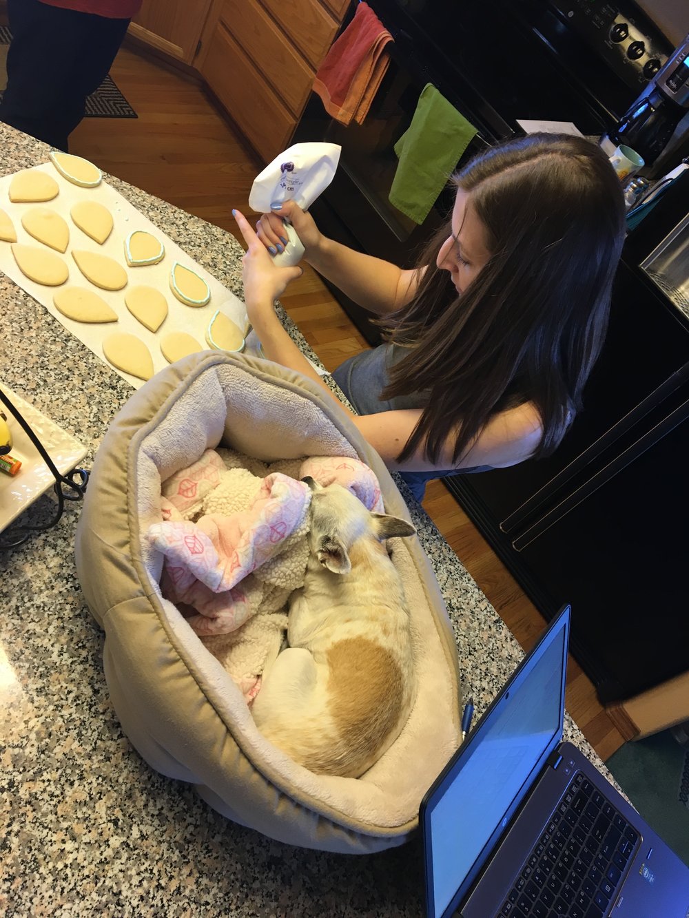  Decorating cookies with Frieda's supervision.&nbsp; 