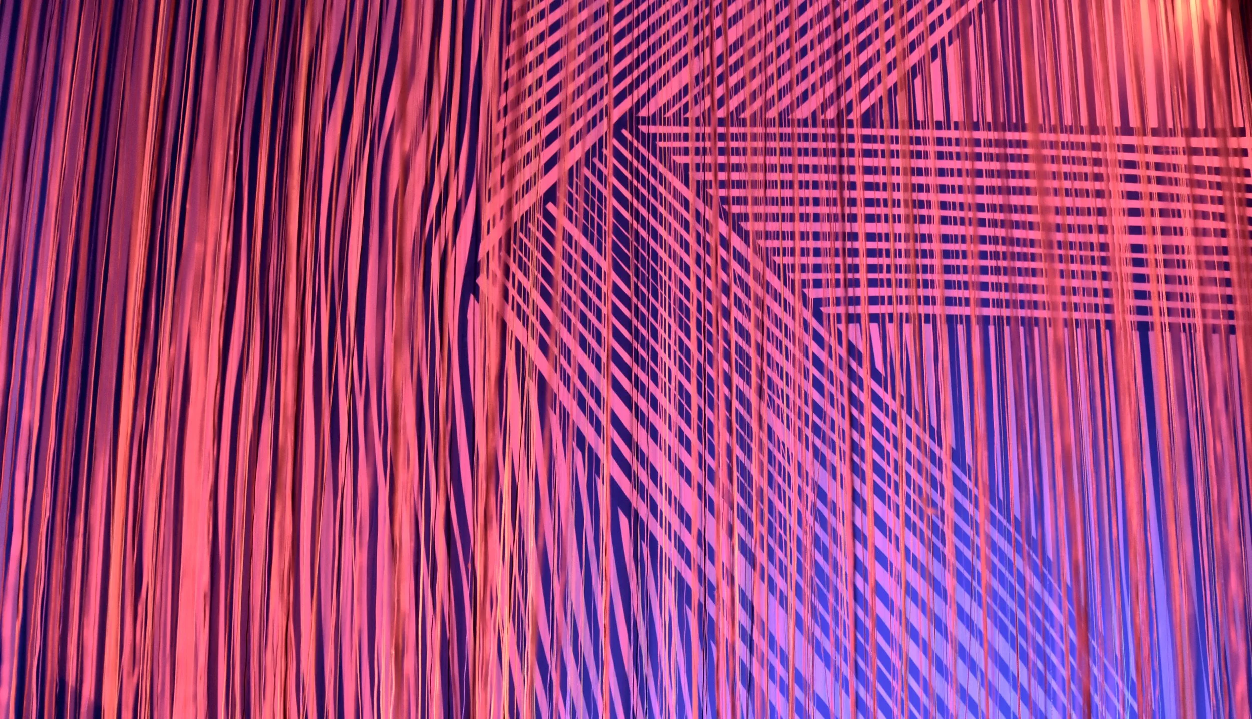 DSC_8127.jpg