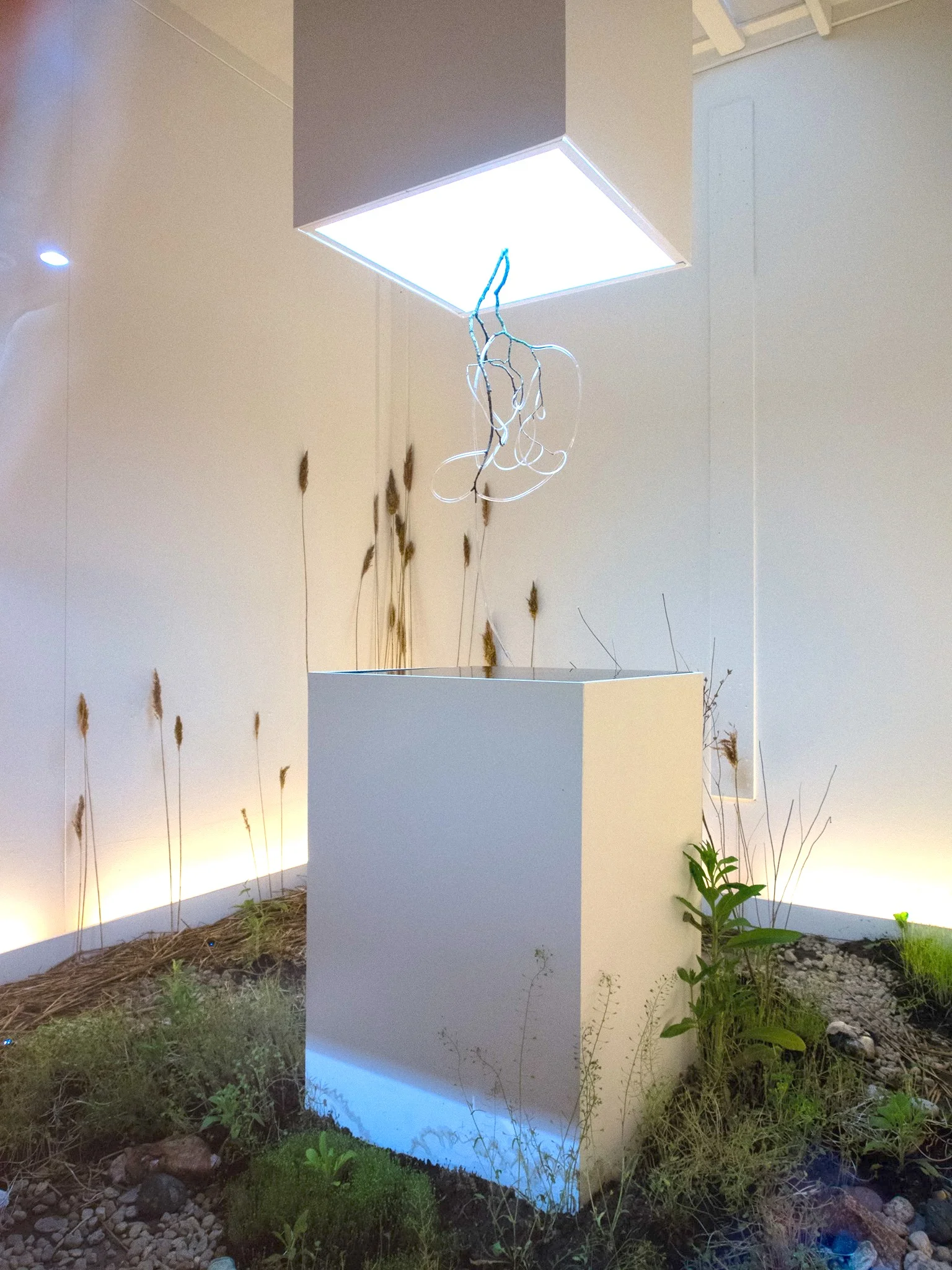 Experiment 11, 2013