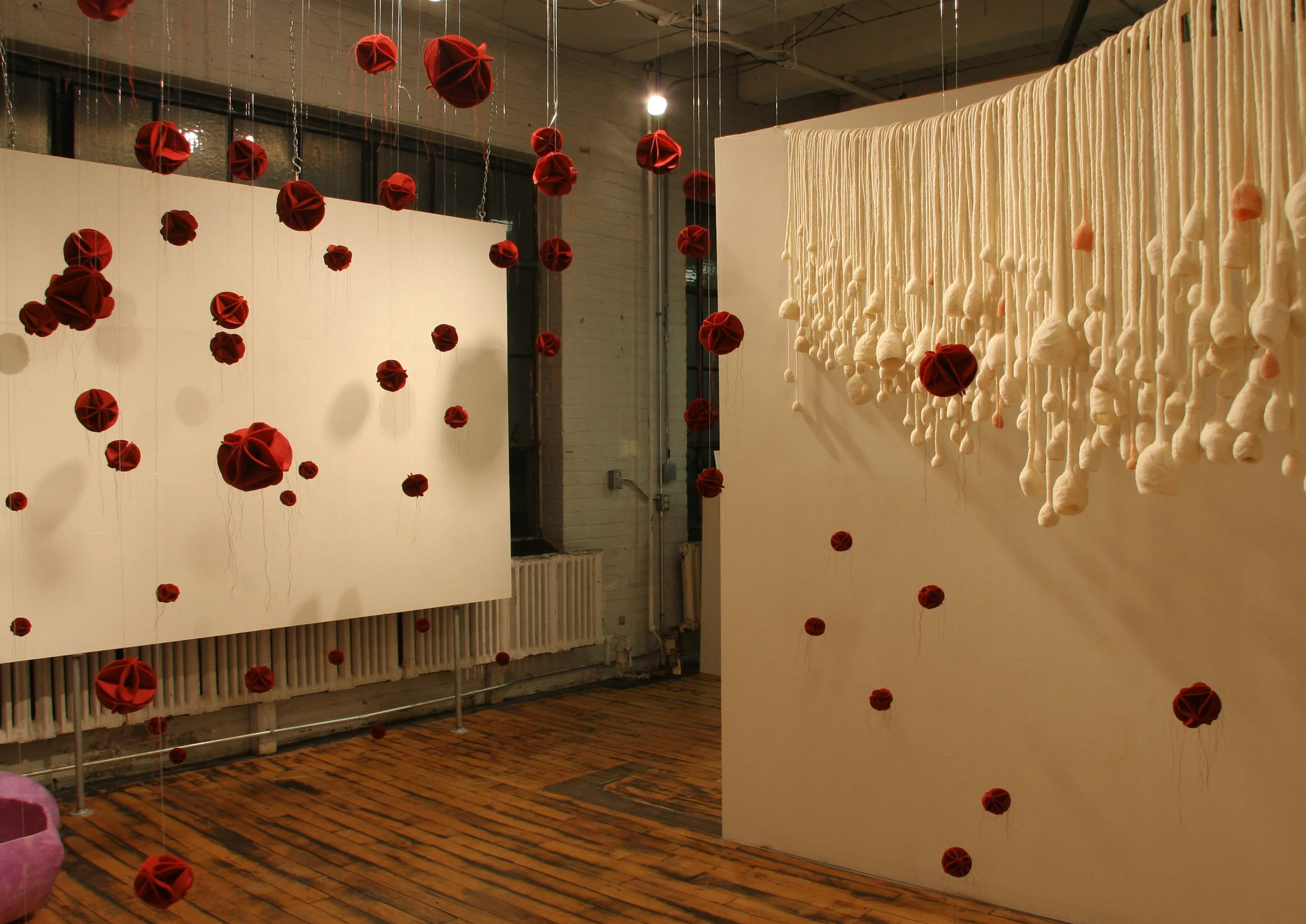 ParticlesInstallation_2010.jpg