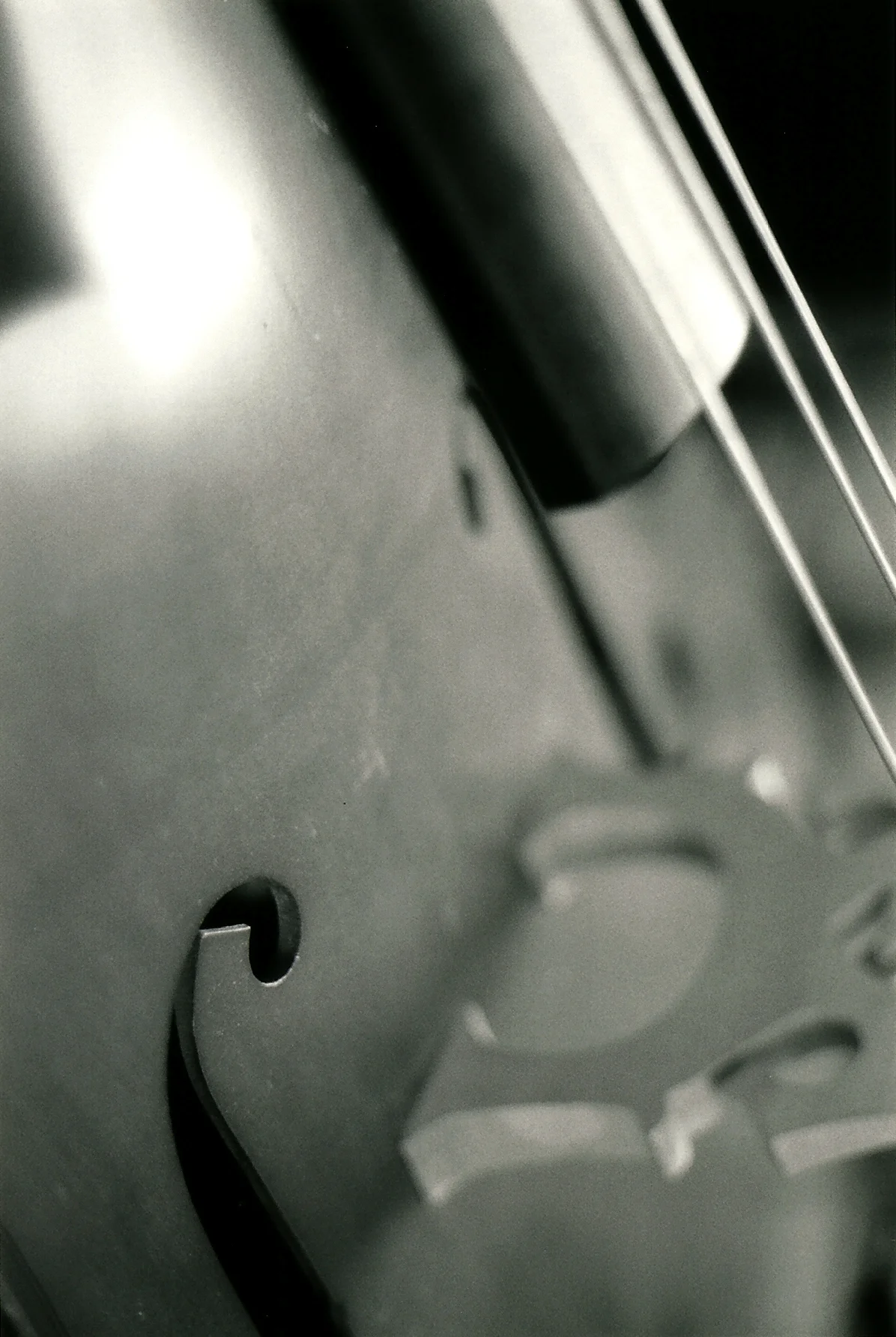 Bass Rolleiflex.jpg