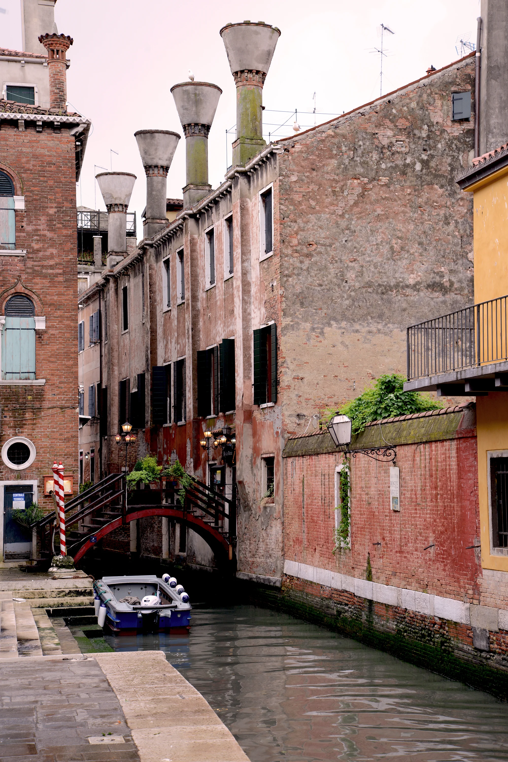 DSC_1065.jpg