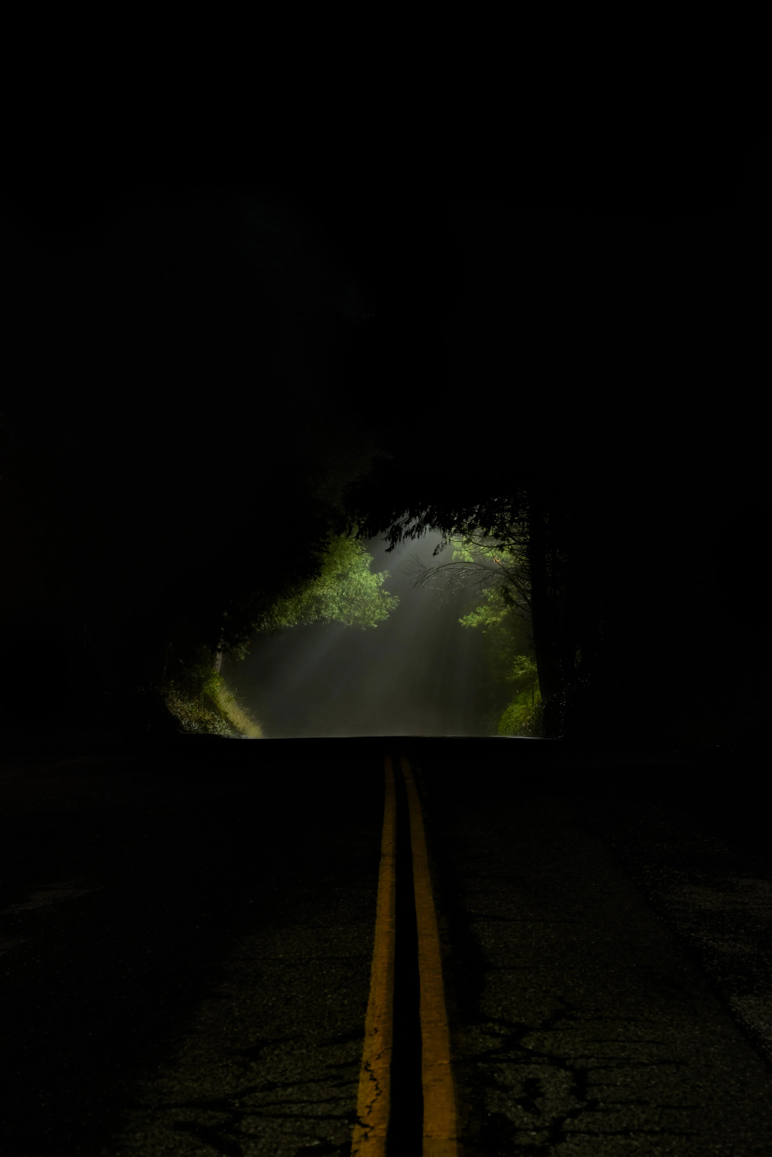 Foggy Alcove NC.jpg