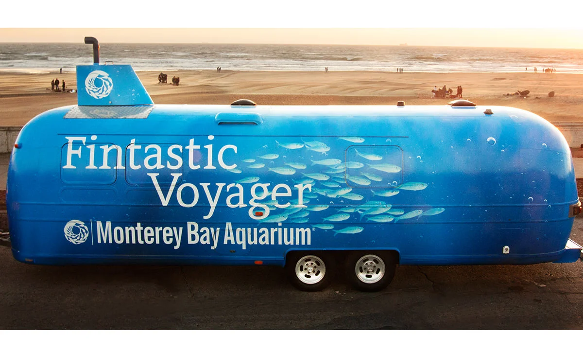 fintastic01.jpg