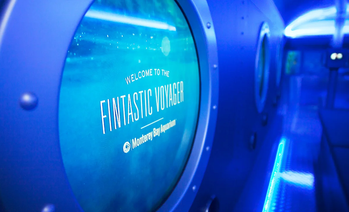 fintastic03.jpg