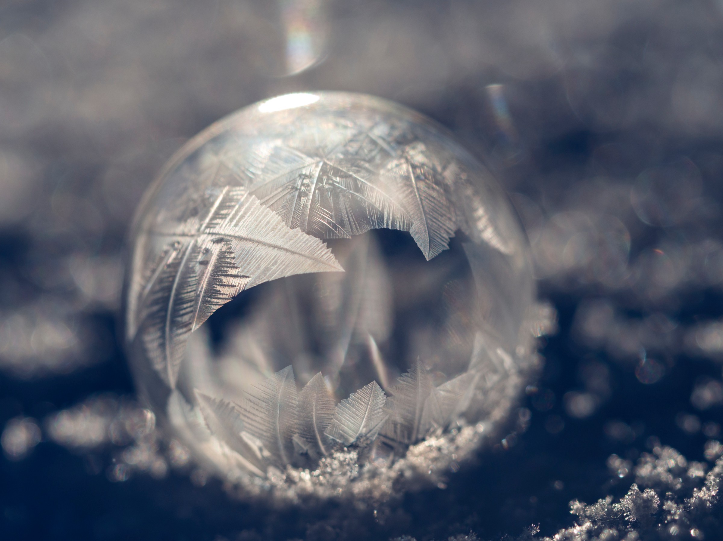 (met dank aan Aaron Burden via Unsplash )