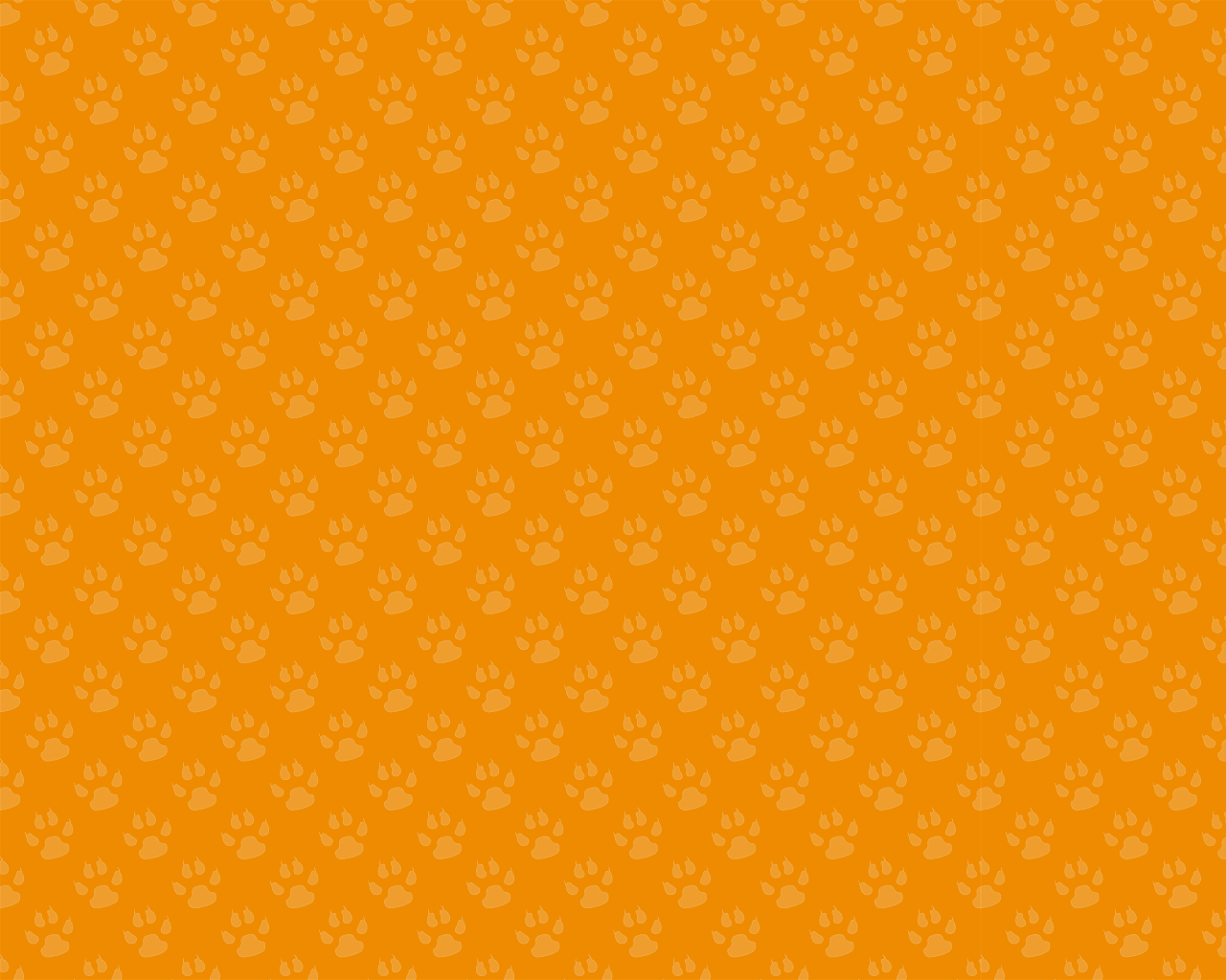 halo_background_tangerine.png