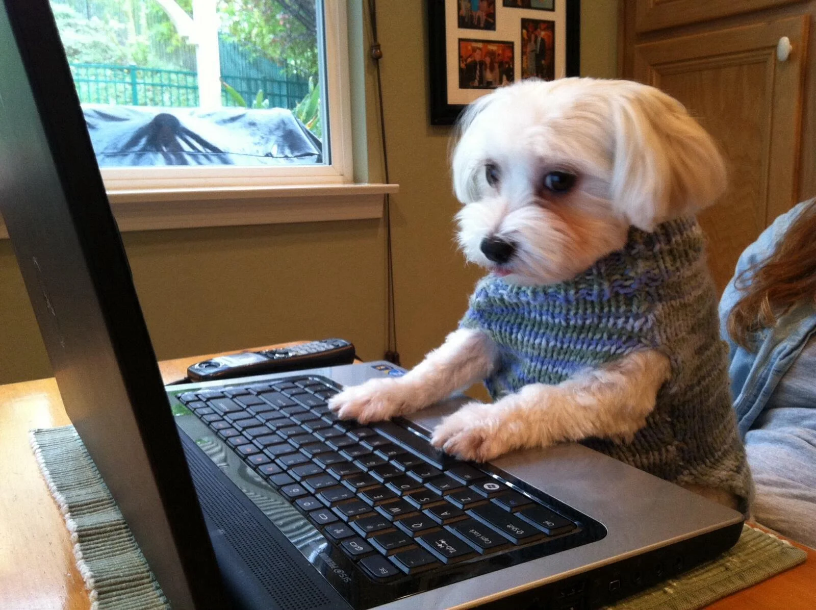 Check out our Online Auction - over 1200 items - free shipping!