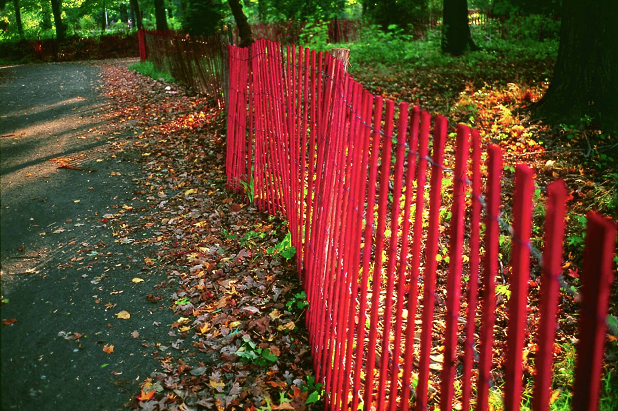 K_03RED Fence-THIS ONE.jpg