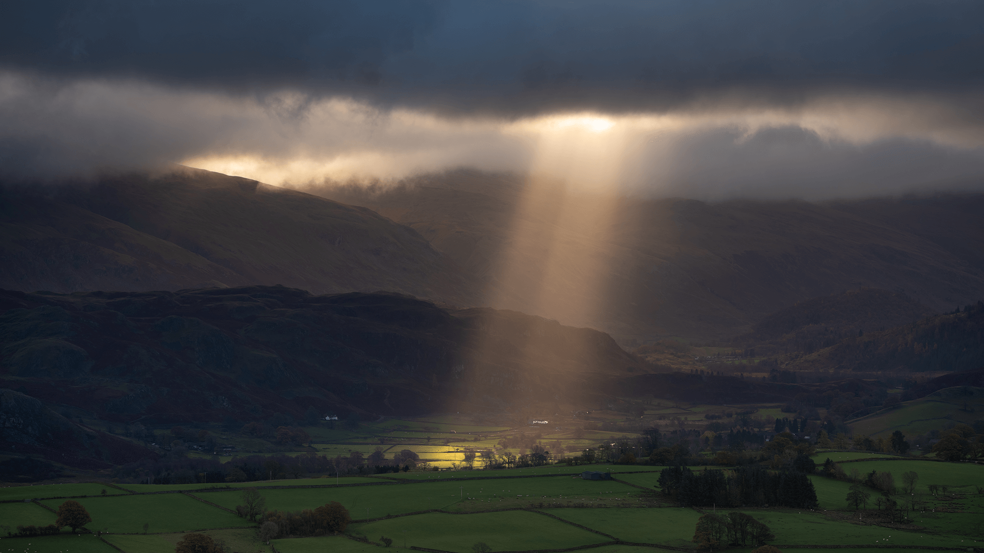 Breaking Free from Toxic Patterns