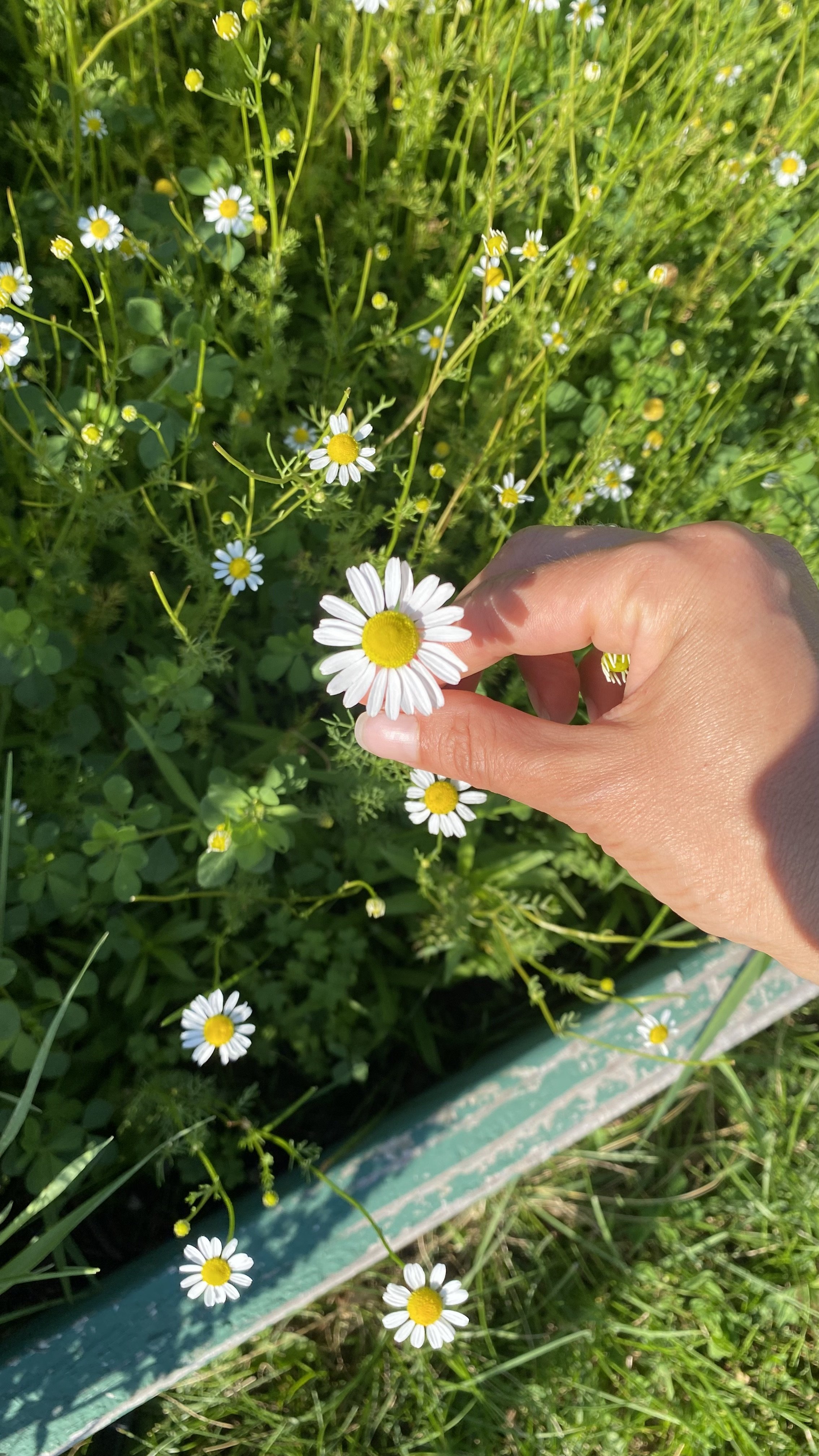 IMG_5827.jpeg