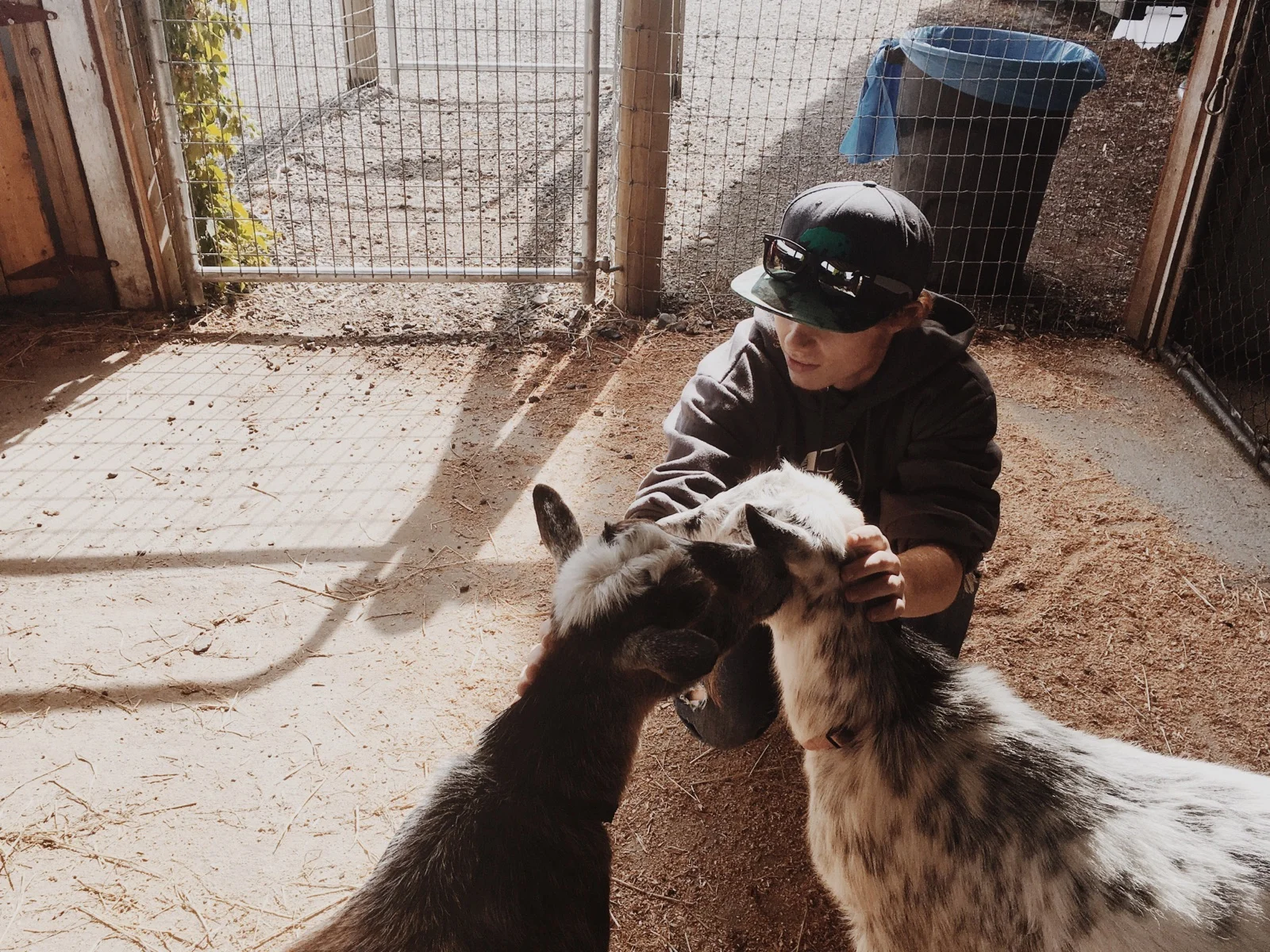 "I just love goats, man"