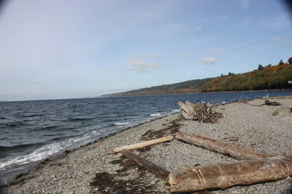 Carkeek Park