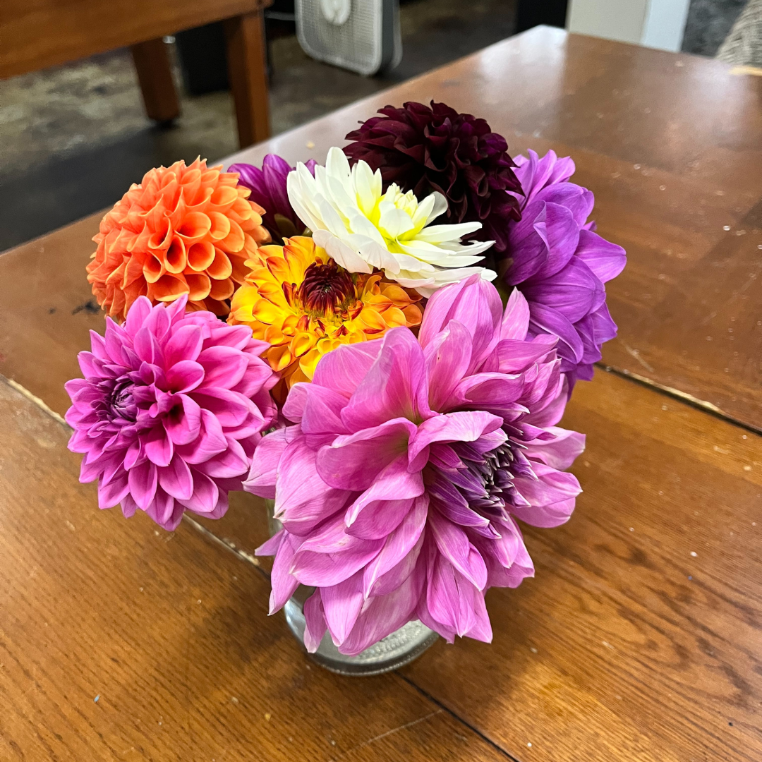 A Client's Perspective