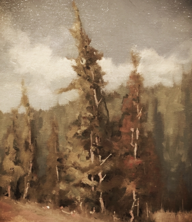 Huggingtrees2.jpeg