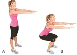 Squats.jpeg