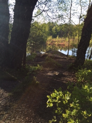 Bästa utrymmet - skogen!
