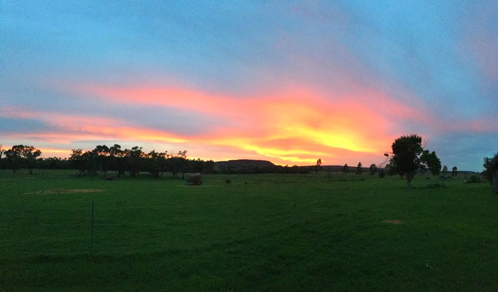   A fine example of Walcha country - rolling farmland high on the great dividing range  