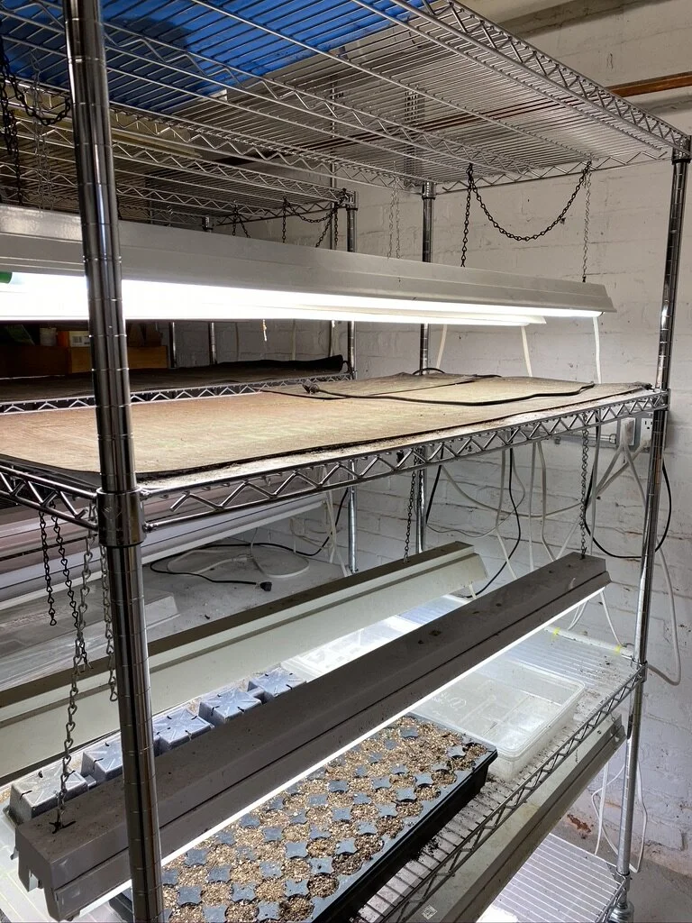 Seeds and Seed Starting Resources