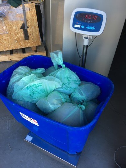 Zero Waste Challenge Trash weigh in.jpg
