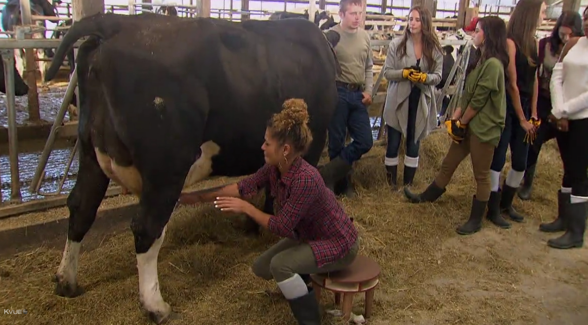 The Bachelor Recap, Nick Viall Episode 4: Raven and Danielle L. Win Wisconsin