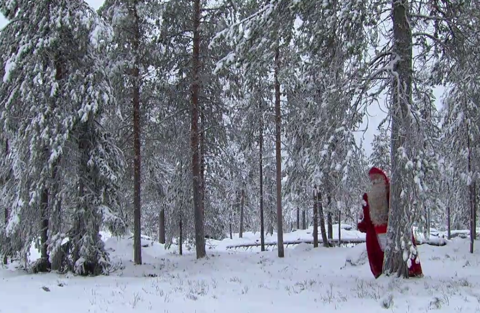 The Bachelor Recap, Nick Viall Episode 11: Nick Picks a "Winner"