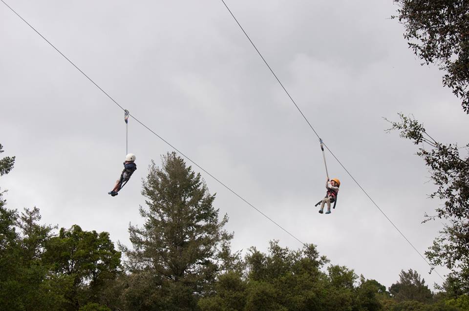 zipline3.jpg