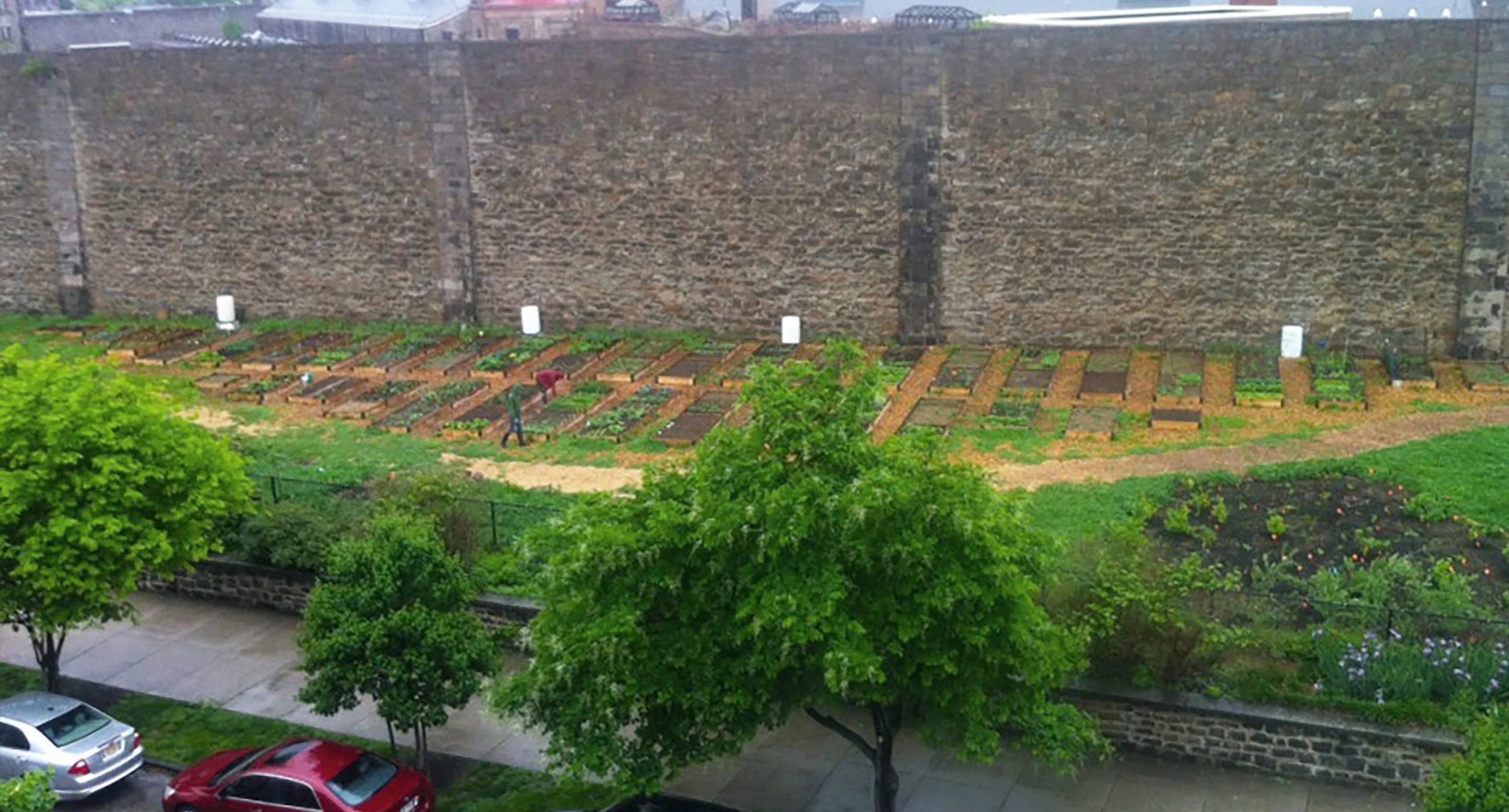 Roots_First_Design_Food_Forest_2.jpg